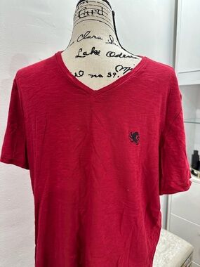 Express Men's Red V-Neck Short Sleeve Tee with Embroidered Logo